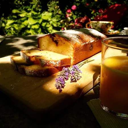 Uvablu Bed & Breakfast Trontano